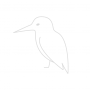 kingfisher placeholder